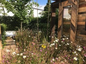 BBC Gardeners World Live Living Gardens 