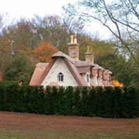 an image of a hedge creening a property