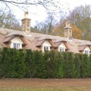 Evergreen Hedging plants