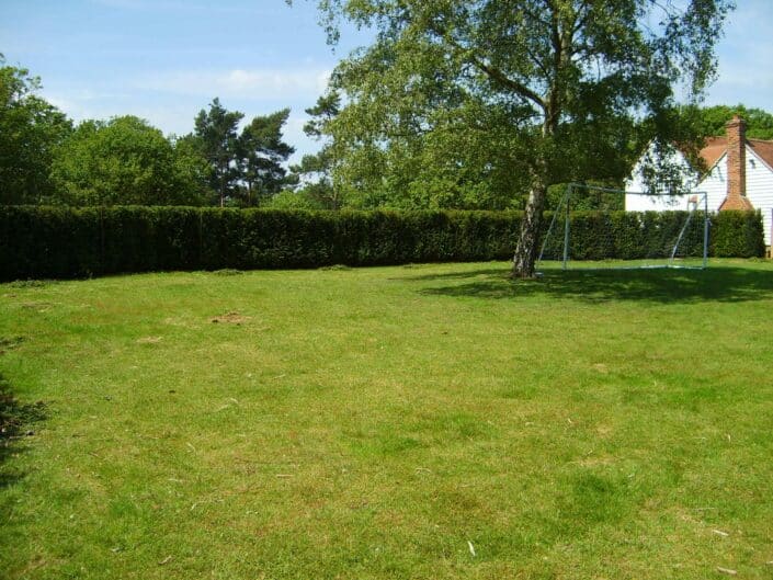 Image of Individual Hedging plants adding maturity