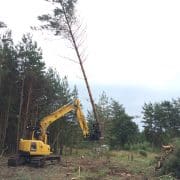 Tree clearance machinery