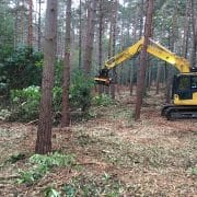 Excavator clearing trees