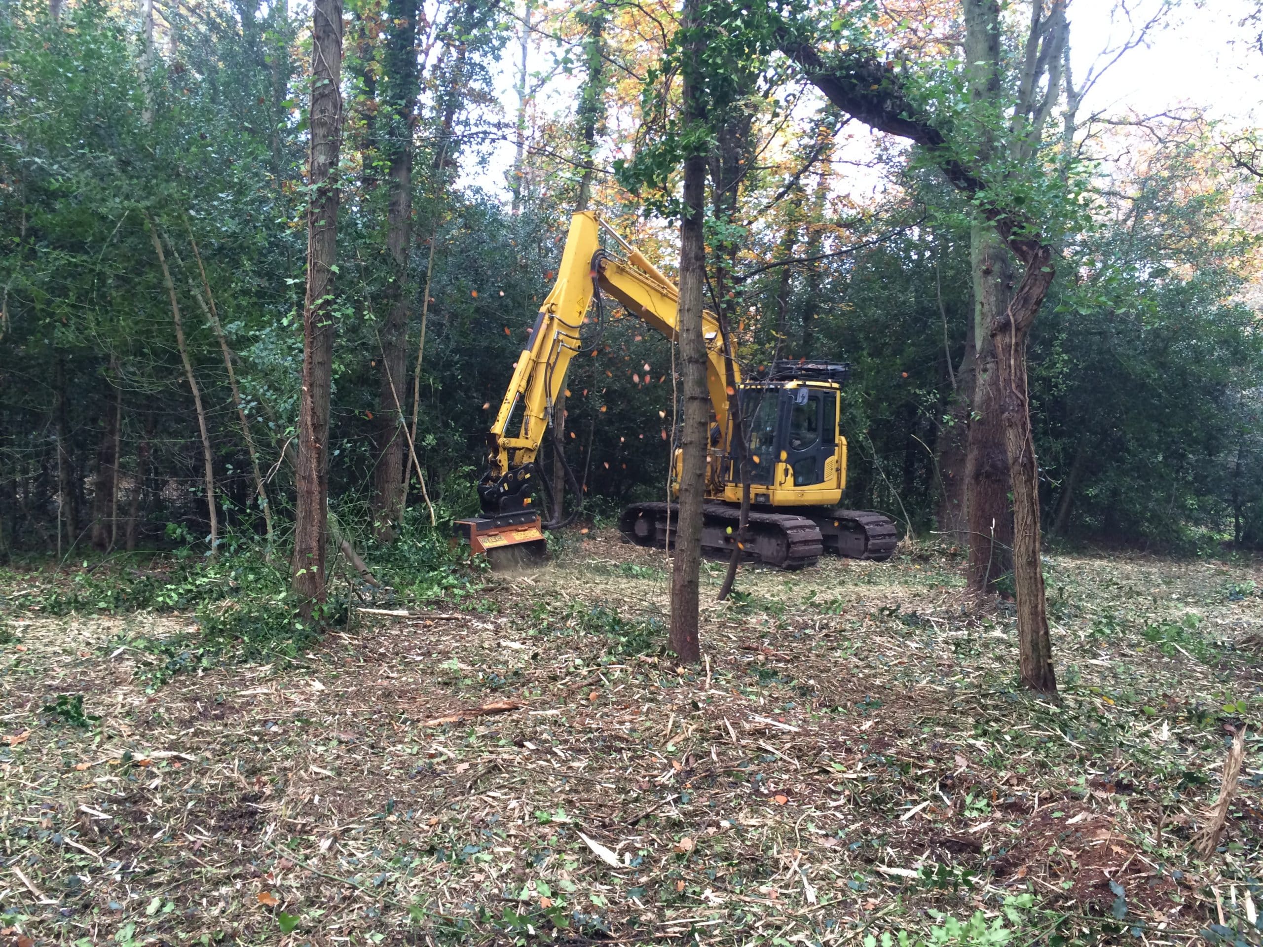 mulcher attachment for vegetation clearance