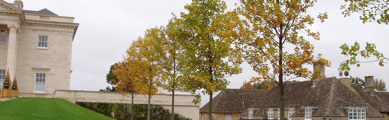 An image of a statley home with a row of semi mature trees in the grounds