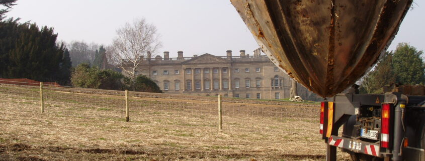 Historic Oak transplanting