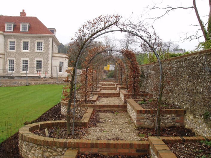 Carpinus betulus Arch (Hornbeam)