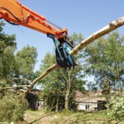 Timber grab listing whole tree