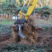 Root rake grubbing up tree stumps