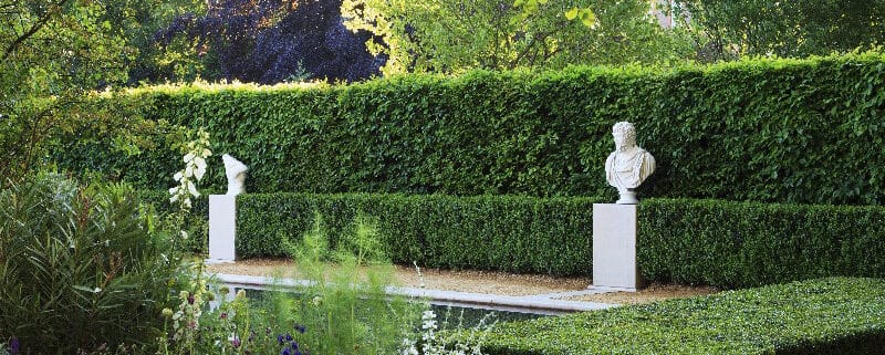 Box Instant Hedge at the RHS Chelsea Flower Show Paul Hervey-Brookes