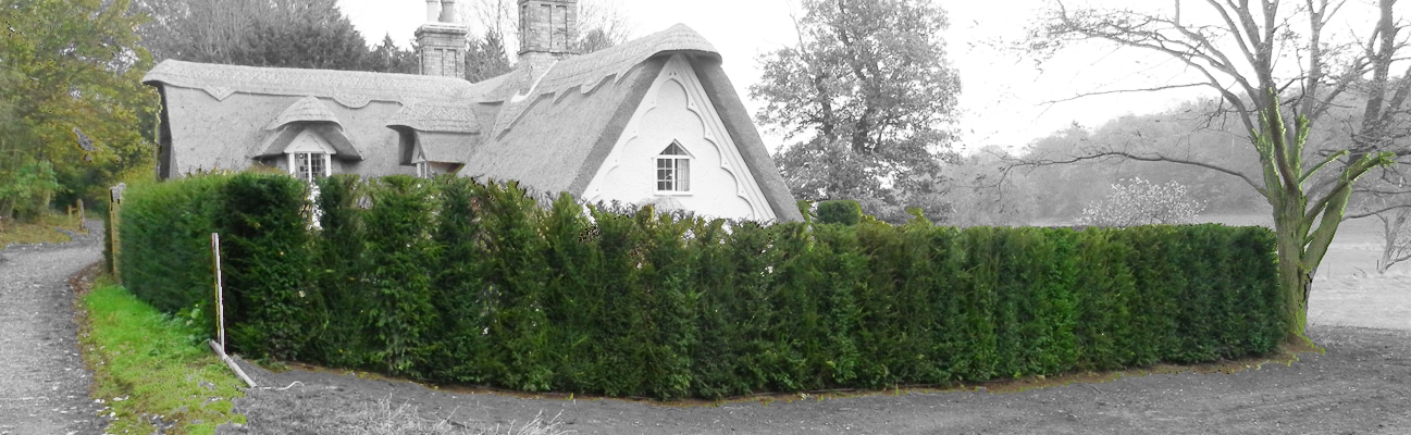 an image of an instant hedge offering shelter to a cottage within a field