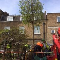 Preparing trees for lifting