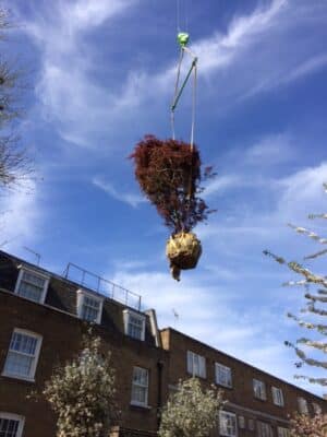 Lifting over the rooftops