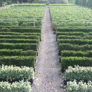 Practical Instant Hedge in production