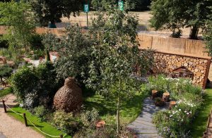 Hampton Court Flower Show 2018