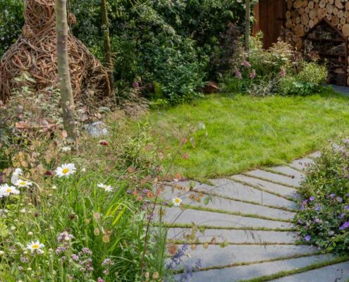 RHS Hampton Court 2018 Practical Instant Hedge