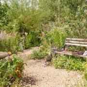 Practical Instant Hedge for BBC Springwatch garden