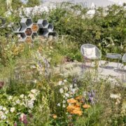 Practical Instant Hedge for Urban Pollinator garden
