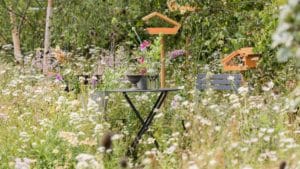 BBC Springwatch Garden RHS Hampton