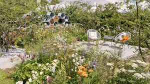 Urban Pollinators Garden RHS Hampton