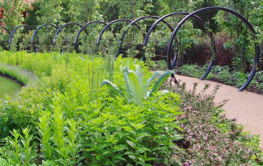 Childrens Garden at Kew