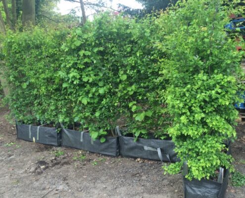 Practical Instant Hedge