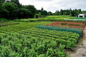 Practical Instant Hedge