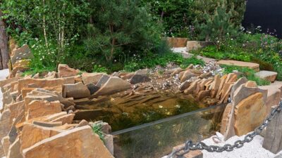 RHS Chelsea Flower Show 2025 garden my Ryan McMahon